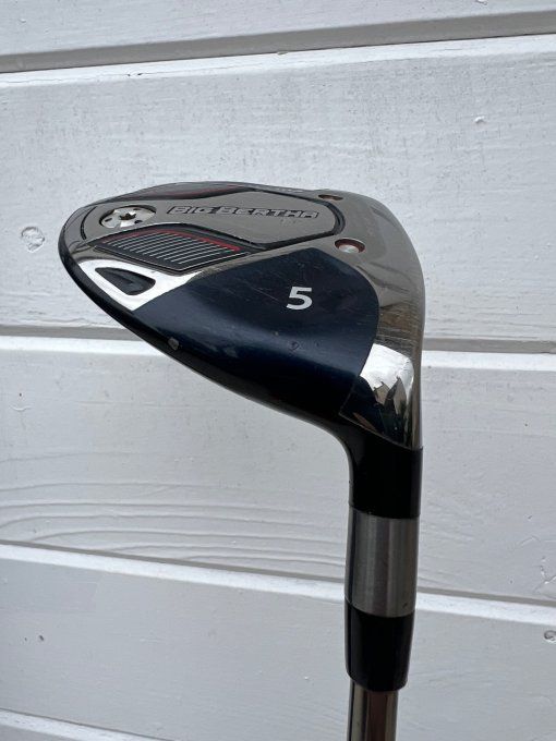 Bois 5 Callaway Big Bertha B21 regular