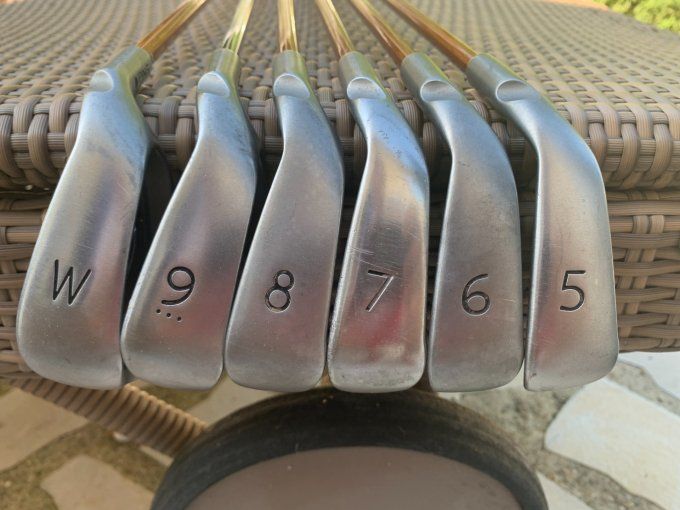 Série Ping G10 (5/P) black dot graphite regular